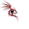 Perfil de longi