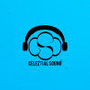 Perfil de Celeztial Sound 