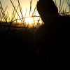 Perfil de Rombeat