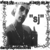 Perfil de sj
