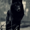 Perfil de Kitos Getafe 