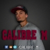 Perfil de calibre M