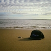 Perfil de DancroDC