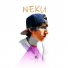 Perfil de Neku Darko