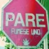 Perfil de De La V