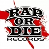 Perfil de rapordierecords