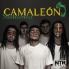 Perfil de Camaleón