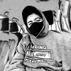 Perfil de Hindu