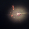 Perfil de JGOLD