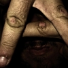 Perfil de elszr