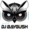 Perfil de BayGush
