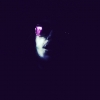 Perfil de Remdbrau R.G