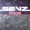 Perfil de Sevz