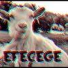 Perfil de Efecegé