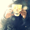 Perfil de D ALEXUNDER