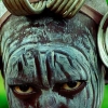 Perfil de atarisdv
