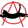 Perfil de AnarkogAto