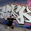 Perfil de ZESK 