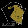 Perfil de Rasgra