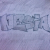 Perfil de Nesia