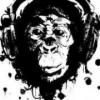 Perfil de LIBERACION BOPS