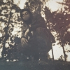 Perfil de Etereal