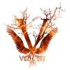 Perfil de Voicot