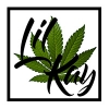 Perfil de Lil Kay