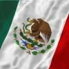 Perfil de decomex