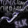 Perfil de SLK15