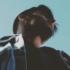 Perfil de RISE