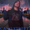 Perfil de Chicano street