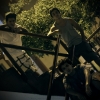 Perfil de Pelosone
