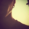 Perfil de Nihl 