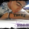 Perfil de tracemc