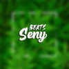 Perfil de El seny beat
