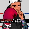 Perfil de Joweed