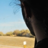 Perfil de PLK
