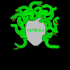 Perfil de Medusa