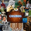 Cosmos