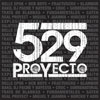 Proyecto 529: Presentación y adelantos