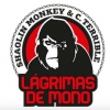 Socio Ejecutor presentan crowdfunding del disco "Lágrimas de mono"
