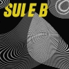 ¡Escucha ya "La teoría del caos" de Sule B!