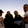 Noticias de Violadores del Verso