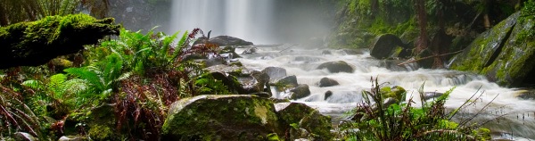 Río en el bosque