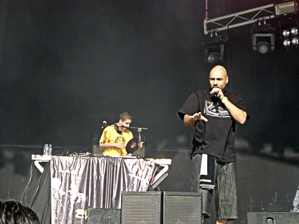 Chojin viña 