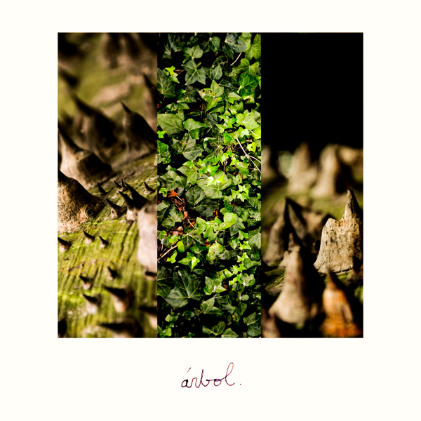 Elhombreviento: Arbol (Portada)