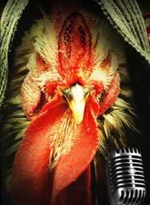 Batalla de los gallos 2008
