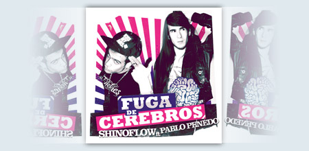Shinoflow fuga de cerebros